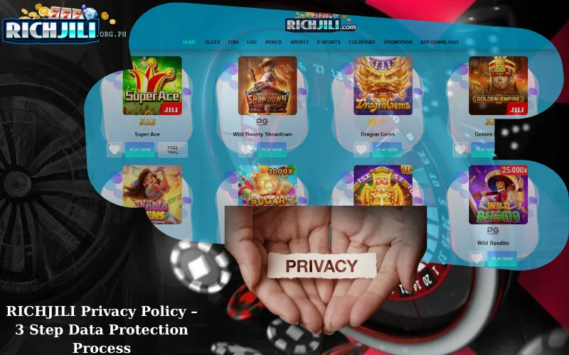 RICHJILI Privacy Policy – 3 Step Data Protection Process