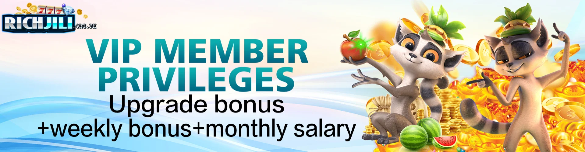 RICHJILI Vip member Privileges