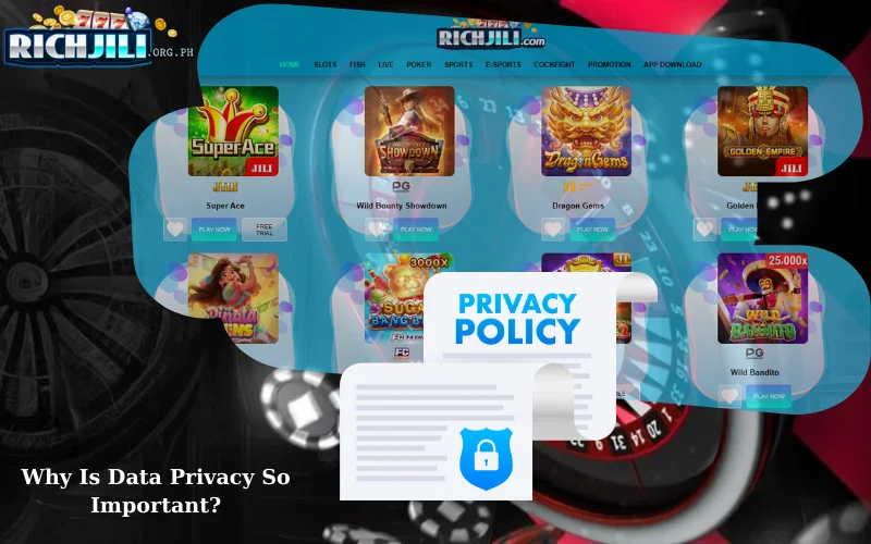 Why Is Data Privacy So Important?